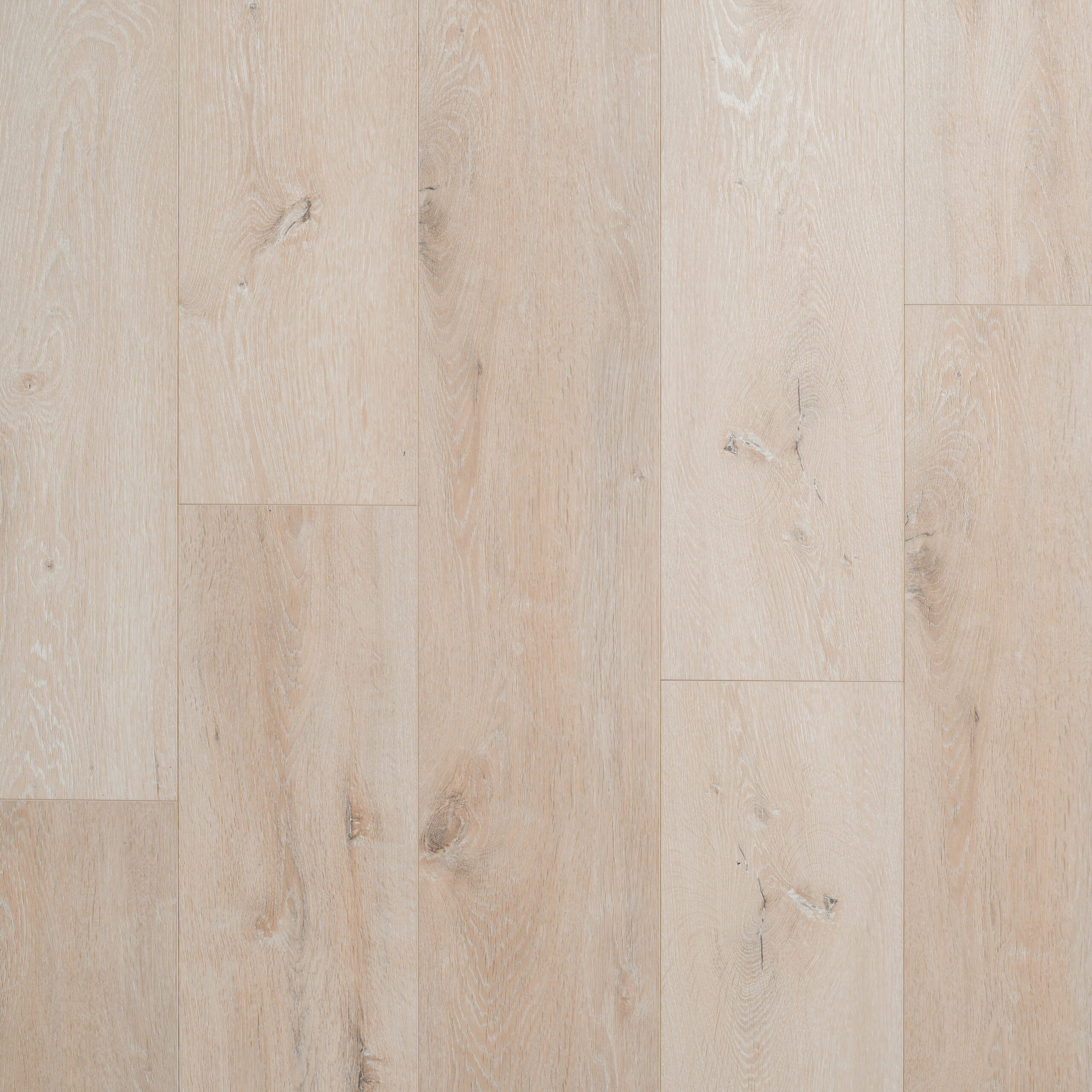 Walkridge Collection - Ashwalk