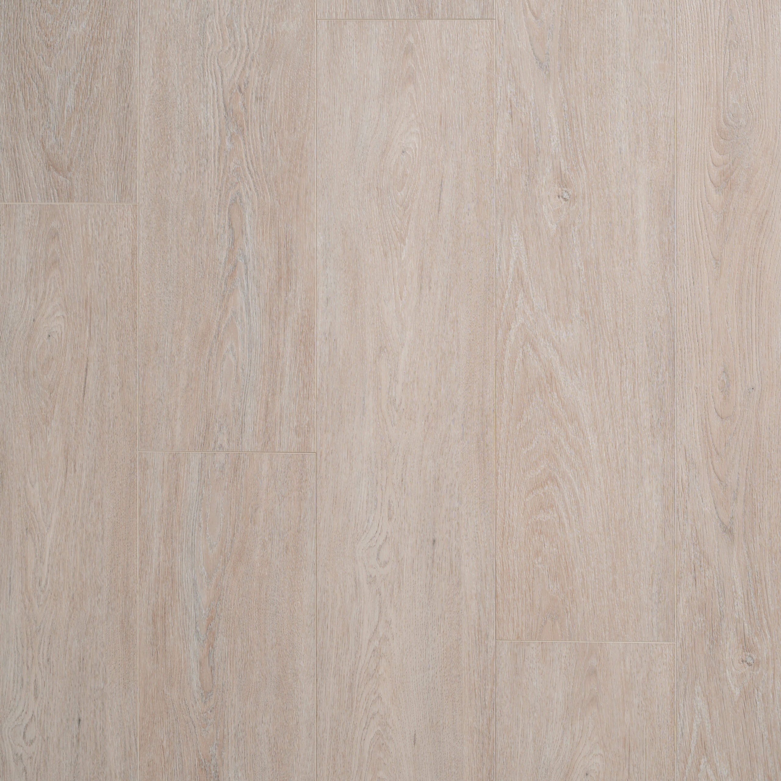 Walkridge Collection - Ivorwalk