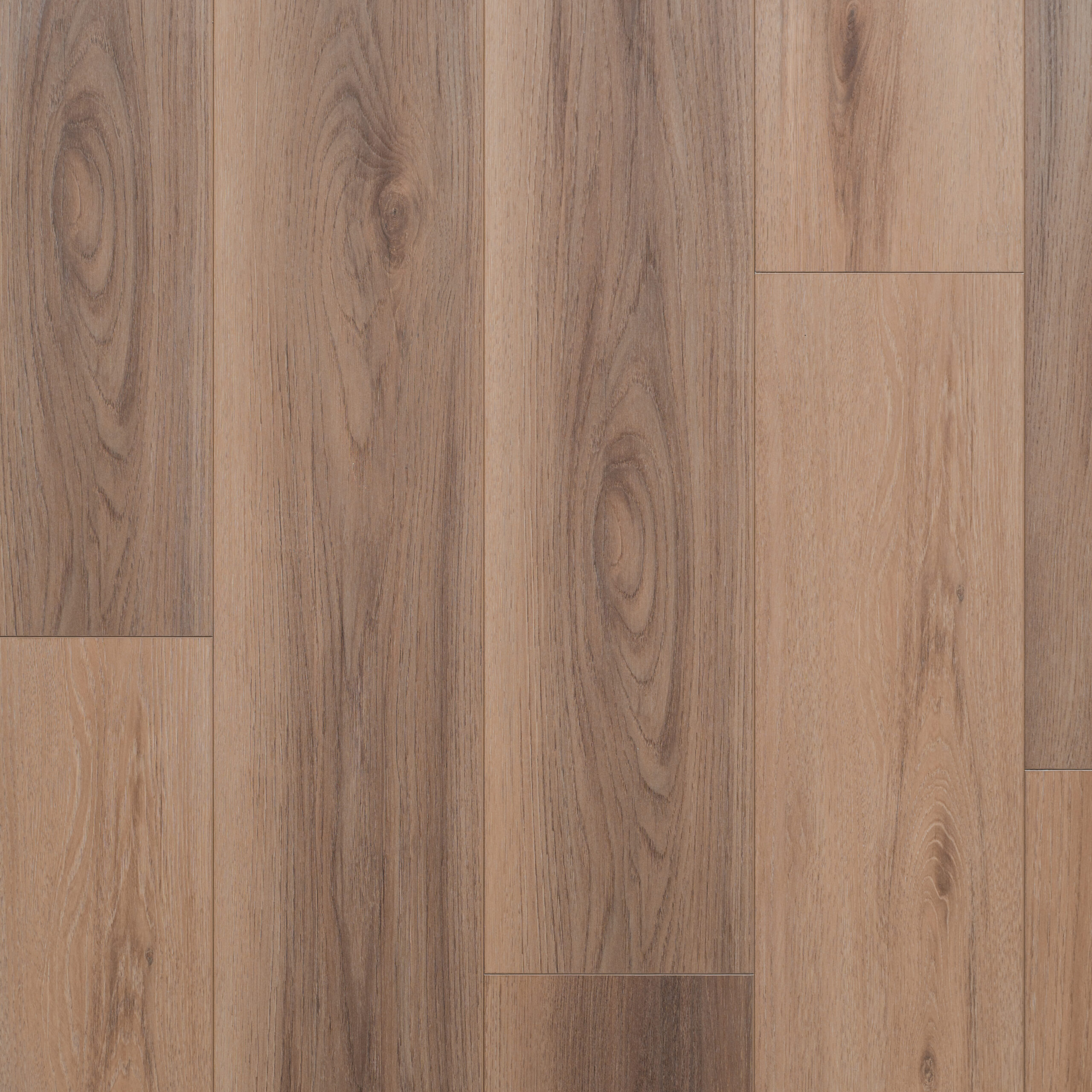 LaViva Collection - LaBisque